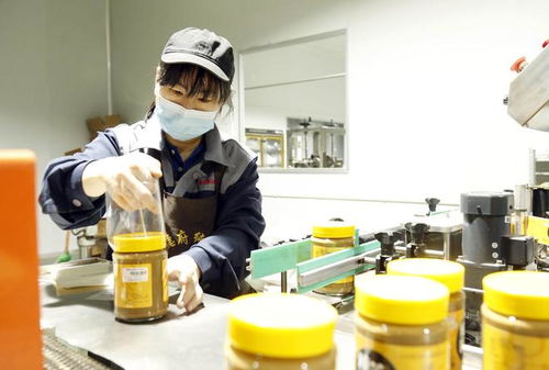 家門口的增收密碼 河北邢臺“微工廠”點燃正餐服務就業(yè)新引擎