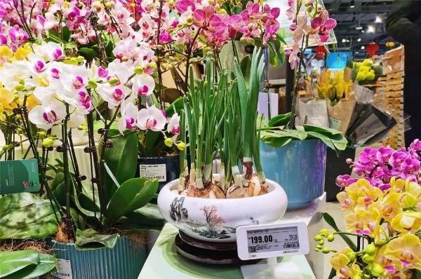 長寧商圈年味濃，禮品花卉迎春俏銷紅火