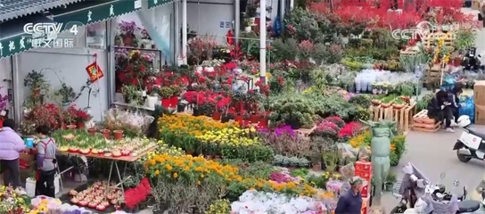 年貨市場購銷兩旺 花卉禮盒映紅新春